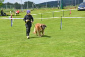 DSC_4711.jpg