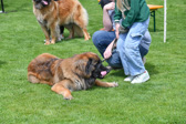 DSC_4716.jpg