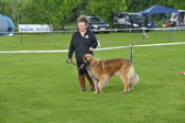 DSC_4778.jpg