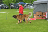 DSC_4795.jpg
