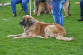 DSC_4810.jpg