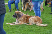 DSC_4811.jpg