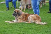 DSC_4812.jpg