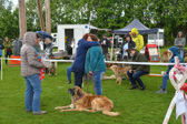 DSC_4819.jpg