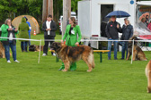 DSC_4854.jpg