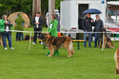 DSC_4856.jpg