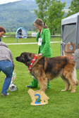 DSC_4872.jpg
