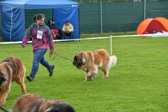 DSC_4880.jpg