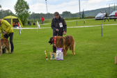 DSC_4900.jpg