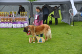 DSC_4902.jpg