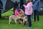 DSC_4913.jpg