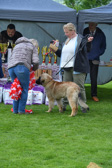 DSC_4915.jpg