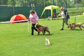 DSC_4920.jpg
