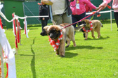 DSC_4925.jpg