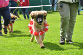 DSC_4932.jpg