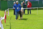 DSC_4941.jpg