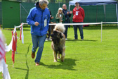 DSC_4942.jpg