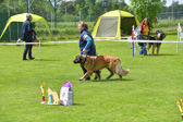 DSC_4966.jpg