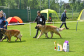 DSC_4968.jpg