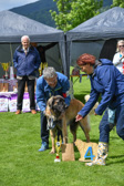 DSC_4976.jpg