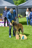 DSC_4980.jpg