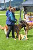 DSC_4987.jpg