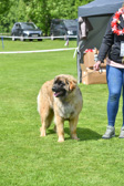 DSC_5005.jpg