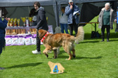 DSC_5008.jpg