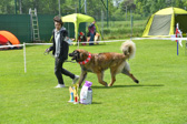 DSC_5010.jpg