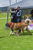 DSC_5016.jpg