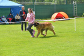 DSC_5031.jpg