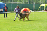DSC_5034.jpg