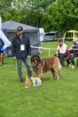 DSC_5060.jpg