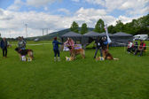 DSC_5061.jpg