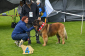 DSC_5066.jpg