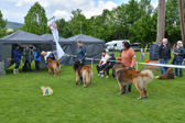 DSC_5072.jpg