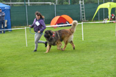 DSC_5130.jpg