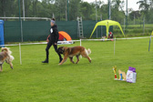 DSC_5202.jpg