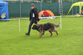 DSC_5206.jpg