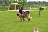 DSC_5244.jpg