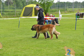 DSC_5247.jpg