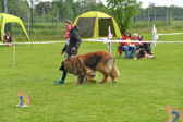 DSC_5249.jpg