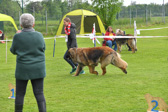 DSC_5253.jpg