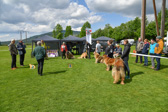 DSC_5336.jpg
