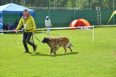 DSC_5371.jpg