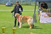 DSC_5383.jpg
