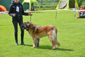 DSC_5384.jpg