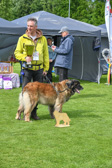 DSC_5416.jpg