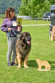 DSC_5422.jpg