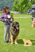 DSC_5423.jpg